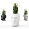 Three Vondom Adan Planters with green plants coming out of their heads.
